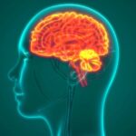 COVID-19 May Lead to Persistent Cognitive Impairment, Brain Fog, and Lower IQ Scores