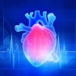 Far More Complex Than Fat: What Is Causing Heart Disease | USNN World News Far More Complex Than Fat: What Is Causing Heart Disease
