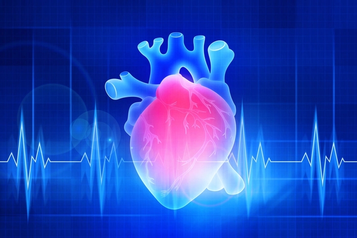 Far More Complex Than Fat: What Is Causing Heart Disease