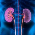Twenty-Eight Types of Kidney Complications Reported Following COVID-19 Vaccination