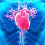 For Older Diabetics, Moderate Overweight Linked to Lowest Cardiovascular Risk: Study | USNN World News For Older Diabetics, Moderate Overweight Linked to Lowest Cardiovascular Risk