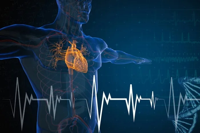 Heart Failure Mortality Rates Surge to Highest Levels in 20 Years