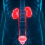 Pain From UTIs Doesn’t Stop After Antibiotics, New Research Sheds Light on Why | USNN World News Pain From UTIs Doesn’t Stop After Antibiotics, New Research Sheds Light on Why