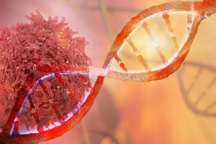 Researchers Discover New Mechanism Linking Diet and Cancer Risk