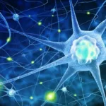 The Neurological Roots of Binge Eating | USNN World News The Neurological Roots of Binge Eating