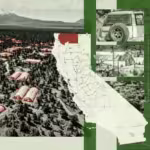 How Uninhabited Terrain Became a Hotbed for Black Market Marijuana | USNN World News How Uninhabited Terrain Became a Hotbed for Black Market Marijuana