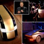 Elon Musk Unveils Tesla’s New Robotaxi, Robovan | USNN World News Elon Musk Unveils Tesla’s New Robotaxi, Robovan