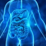 Mucus: Understanding Your Ally in Battling Illness | USNN World News Mucus: Understanding Your Ally in Battling Illness