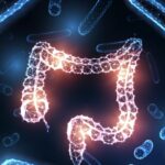 Gut Bacteria Affect Our Daily Stress Response, Sync with Circadian Rhythm: Study | USNN World News Gut Bacteria Affect Our Daily Stress Response, Sync with Circadian Rhythm: Study