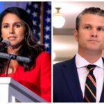 Senators Signal Trump Nominees Gabbard, Hegseth Will Face Grilling in Congress