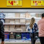 Eggflation Expected to Persist in 2025, Rising 20 Percent: USDA | USNN World News Eggflation Expected to Persist in 2025, Rising 20 Percent: USDA