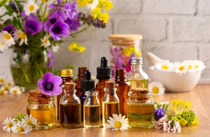 Essential Oils for Warmth, Better Sleep, and Easing Digestion in Winter | USNN World News Essential Oils for Warmth, Better Sleep, and Easing Digestion in Winter