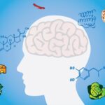 Limiting Calories Won’t Sustain Weight Loss, as Hormones Run the Show | USNN World News Limiting Calories Won’t Sustain Weight Loss, as Hormones Run the Show