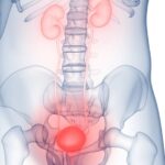 Why ‘Holding It In’ Could Damage Your Bladder, Doctors Warn | USNN World News Why ‘Holding It In’ Could Damage Your Bladder, Doctors Warn