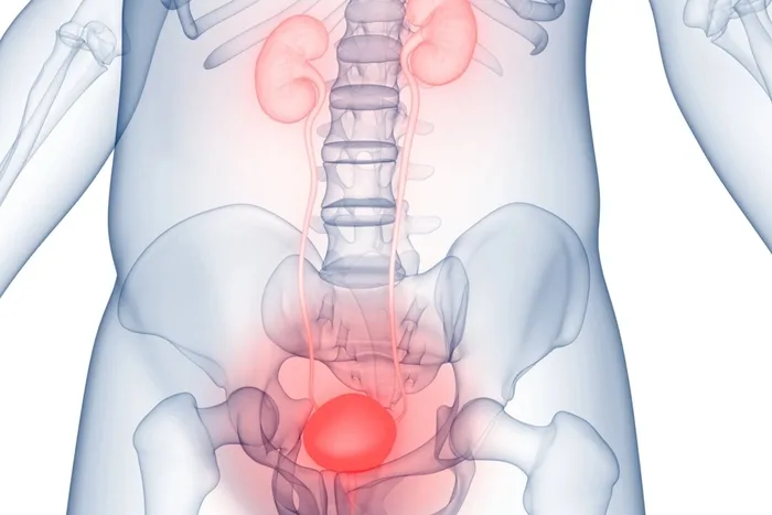 Why ‘Holding It In’ Could Damage Your Bladder, Doctors Warn
