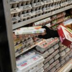 US Egg Prices Hit Record High of $4.95 per Dozen | USNN World News US Egg Prices Hit Record High of $4.95 per Dozen