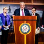 Democrats Wrestle With DOGE and Musk | USNN World News Democrats Wrestle With DOGE and Musk