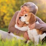 The Healing Power of Pets | USNN World News The Healing Power of Pets