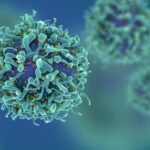 The T-Cell Suppression Scandal: How Bureaucratic Red Tape Delayed a Life-Saving Medical Breakthrough | USNN World News The T-Cell Suppression Scandal: How Bureaucratic Red Tape Delayed a Life-Saving Medical Breakthrough