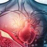 Silent Threats: How to Detect and Prevent Deadly Blood Clots Before It’s Too Late | USNN World News Silent Threats: How to Detect and Prevent Deadly Blood Clots Before It’s Too Late