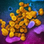 COVID-19 Activity Increases Across US, Mostly on West Coast: CDC | USNN World News COVID-19 Activity Increases Across US, Mostly on West Coast: CDC