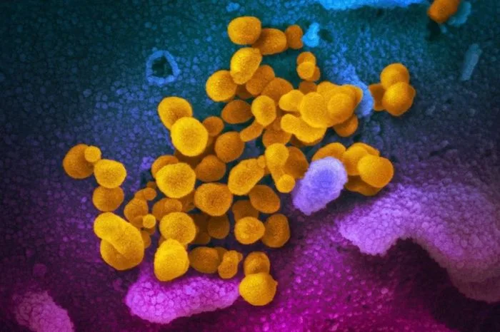 COVID-19 Activity Increases Across US, Mostly on West Coast: CDC