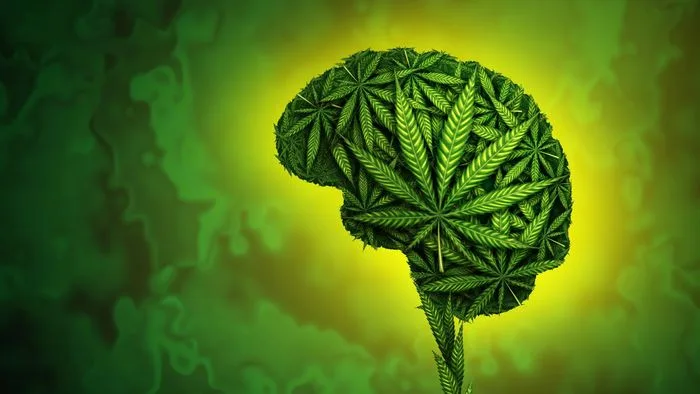 High-THC Cannabis Products Linked to Immediate Psychosis and Addiction