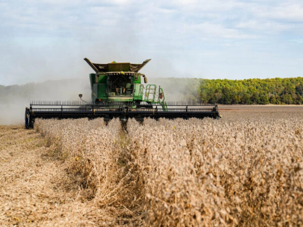 China Agrees to Buy 25 Million Metric Tons of US Soybeans per Year, Bessent Says | USNN World News China Agrees to Buy 25 Million Metric Tons of US Soybeans per Year, Bessent Says