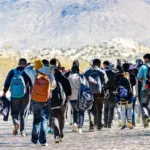 30,000 Missing Illegal Immigrant Children Located: Tom Homan | USNN World News 30,000 Missing Illegal Immigrant Children Located: Tom Homan