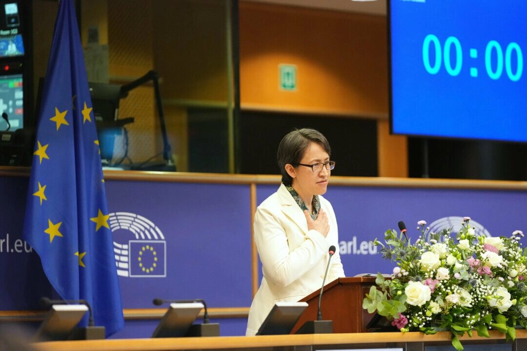 Taiwan Vice President Calls for International Support in Rare EU Address