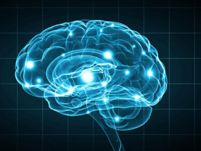 Your Brain’s Secret Defense Against Alzheimer’s