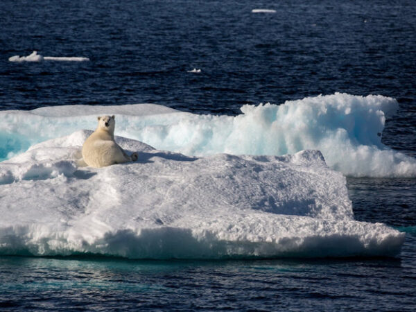 Greenland Should Talk to US Without Denmark, Opposition Leader Says